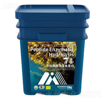 ����ø�⺣���~(y��)����-7ϲ-���{ɭ