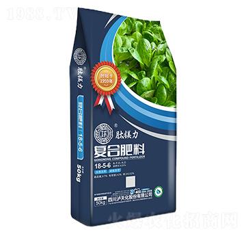 �ͺϷ���18-5-6-���V��-���r(n��ng)-�o�컯