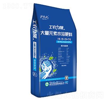 ����Ԫ��ˮ�ܷ���19-19-19+TE-���r(n��ng)���n-�o�컯