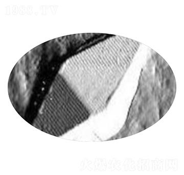 ΢����Bt���̾���-G033A-����������