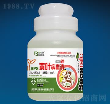 300g�S�~�����壨��