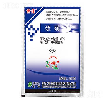 80%���-����