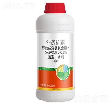 0.03%S-�T����-������-����