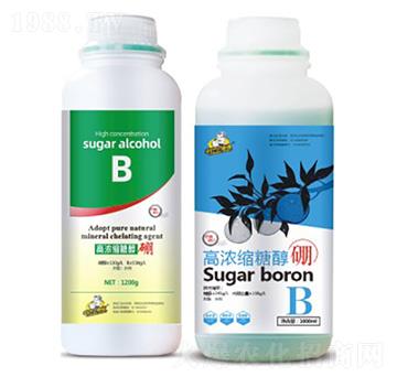 �ߝ�s�Ǵ���-��˹��