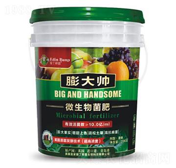 ΢�������-���-�۶�����