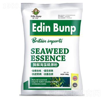 ø�⺣�徫ԭ��-��(��i)������