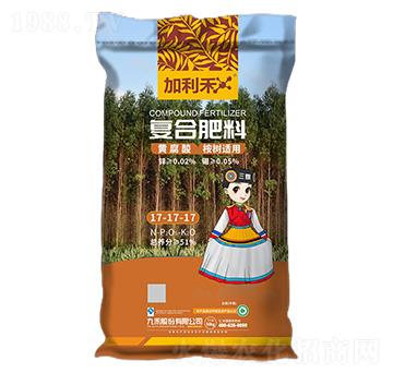 ����m�ÏͺϷ���17-