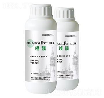 �I(l��ng)�n-����Դ��ȡ���D(zhu��n)ɫ������