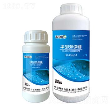 ���w��-�A��(chu��ng)