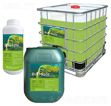 ø�⺣��Һ-�A��(chu��ng)