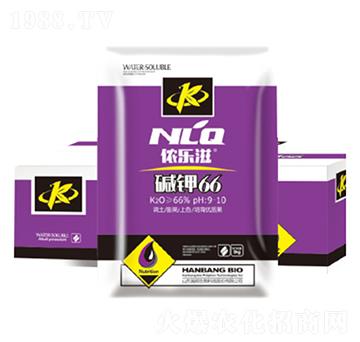 �A�66-嫰�����