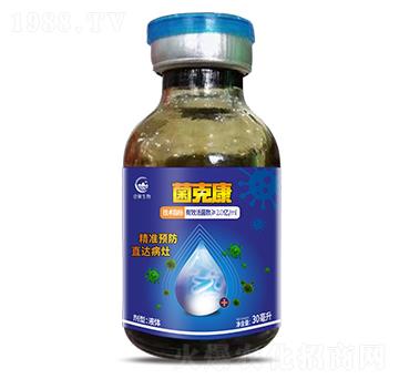 ���˿�-����������