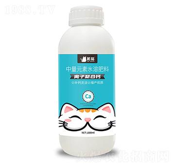 ����Ԫ��ˮ�ܷ���-�x�Ӿۺ��}-��؈