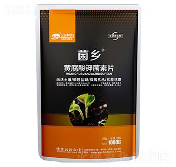 �S����⛾���Ƭ-���l(xi��ng)-���_��