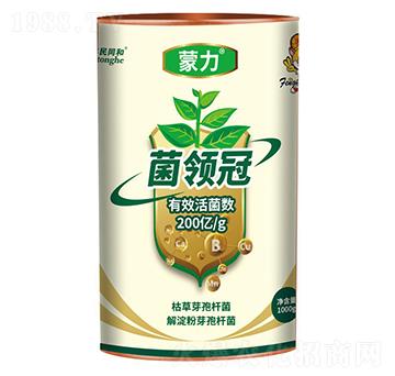 �������I(l��ng)��-�͝��r(n��ng)�I(y��)