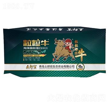 ��������������ĵ���-���ɹ�