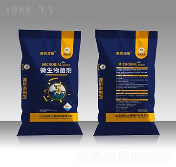 5�|΢�������-���r(n��ng)��(r��n)��-���r(n��ng)����