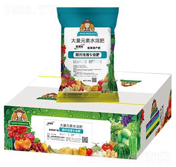 陽(yáng)光玫瑰專用膨果增產(chǎn)型大量元素水溶肥料-魯?shù)掳? />
</div>
</div>
<style type=