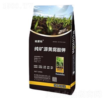 ���VԴ�S�����-������-���°�