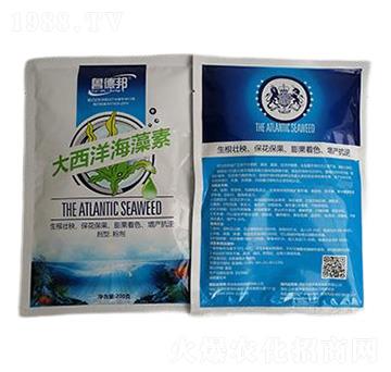 ����������-��?sh��)°? />
                                </div>
                            </div>
                            
                            <style type=