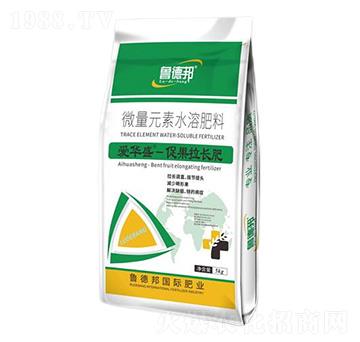 促果拉長型微量元素水溶肥料-愛華盛-魯?shù)掳? />
</div>
</div>
<style type=