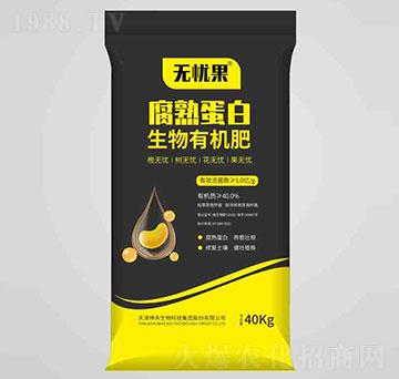 1�|���쵰�������ЙC��-�o�n��-��������