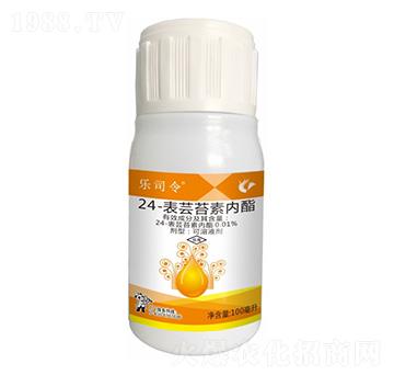 0.01%24-���|̦�؃���-��˾��-����¡����