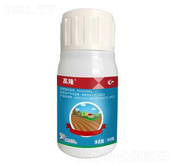 40%��������ᡤݬȥ��-��¡-����¡����