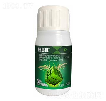 40%�S�׻�¡�����ݰ�-������-����¡����