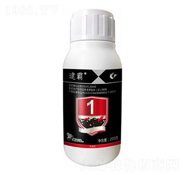 50��/�����������-����-����¡����