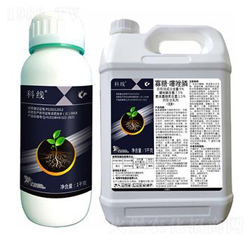 9%���ǡ������-�ƾ�-����¡����