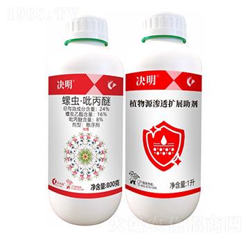 �����M��-�Q��-����¡����