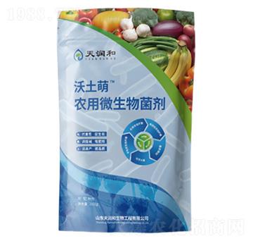 �������r(n��ng)�I(y��)΢�������-�읙������