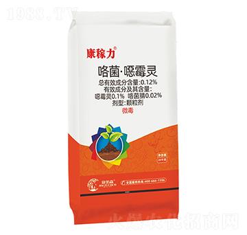 ���������ڲ���-������-����ɭ