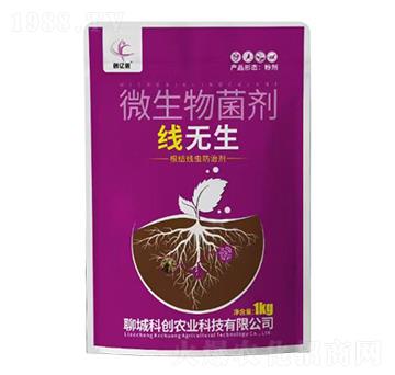 ΢�������-���o��-��(chu��ng)�|�z-�Ƶ��A