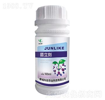 ������-��(chu��ng)�|�z-�Ƶ��A