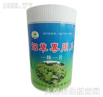 ���݌���Ƭ��һ��һƬ��-�Ƶ��A