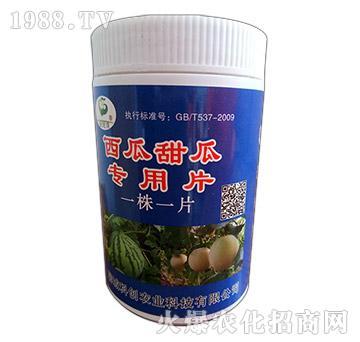 ������ό���һ��һƬ-�Ƶ��A