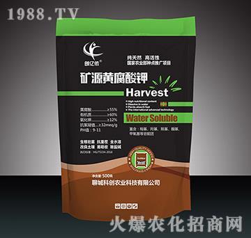 �VԴ�S����⛣�500g��-��(chu��ng)�|�z-�Ƶ��A