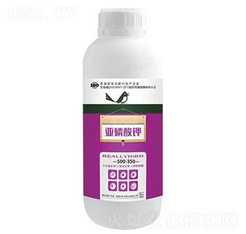 ��ߡ��������-�����ʘI(y��)