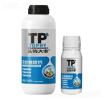 �����Ǵ��}-�^�ȴ���-