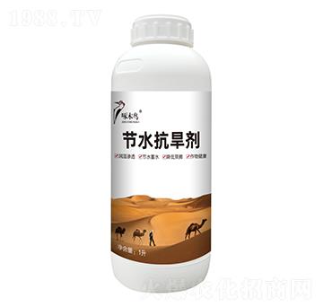 ��(ji��)ˮ������-��ľ�B(ni��o)�r(n��ng)�I(y��)