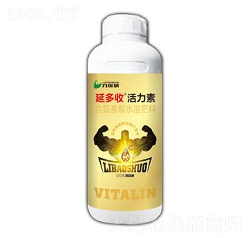 �Ӷ��ջ�����-�����T-