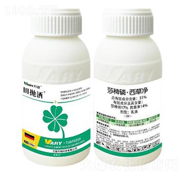 31%ɯ���ס����݃�250��-���-�f��