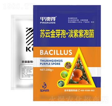 ���ٝ����ײ�2̖-���A��