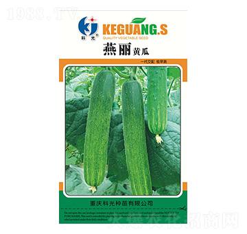 �����S��-�ƹ�N��