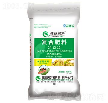 �N�����׌��ҏ�(f��)�Ϸ���24-12-12-ס�̷���