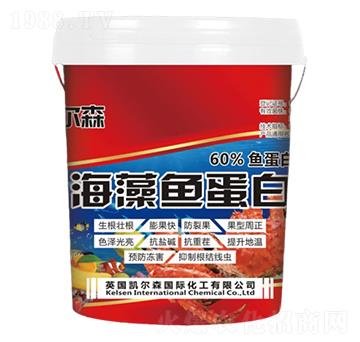 �����~����-�P��ɭ-����Ƽ�