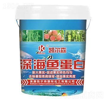 ��~����-�P��ɭ-����Ƽ�