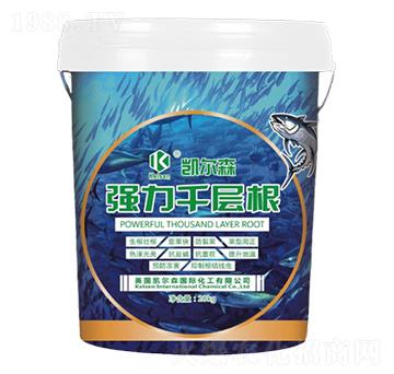 ��(qi��ng)��ǧ�Ӹ�-�P��ɭ-����Ƽ�